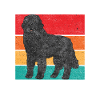 Newfoundland Newfoundland Dog