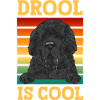 Newfoundland Newfoundland Dog