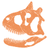 Carnotaurus fossil skull