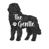 Newfoundland Newfoundland Dog