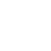 Grumpy white rabbit