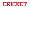 Mode Cricket activé