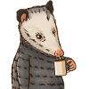 Opossum drinks coffee