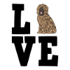 Briard
