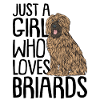Briard