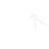 Skilanglauf Trainer Definition