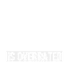 Leg prosthesis, prosthesis, amputee, amputation