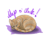 Nap o‘clock