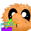 Sip Puschel