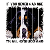 Bernese Mountain Dog