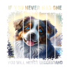 Australian Shepherd