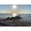 Baltic Sea with sun