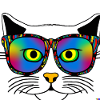 Cat Sunglasses Cool Gift Idea
