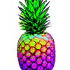 Ananas bunt Geschenkidee