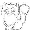 Cute little cat
