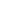 Camping et Labrador