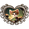 A cute kitten reading adventures