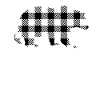 Grand-mère Ours