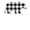 Grandpa Bear