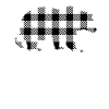 Nana Bear