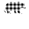 Brother Bear