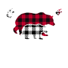 Grandma Bear