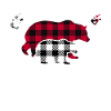 Nana Bear