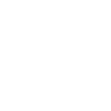 Développeur Coder Programmeur Professionnel