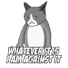 Cat against protest Rejection no