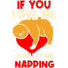 Sloth sleeping