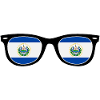 El Salvador flag