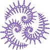 Trilogy Spiral Galaxy