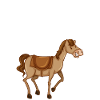 Mon cheval Happy Place
