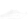 Cruise ship
