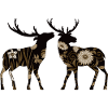 Cerf