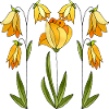 Blumen