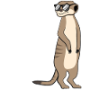 Cool Meerkat Funny Saying Gift