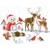 Christmas-Winter Fairy Tale