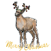 Merry Christmas Reindeer