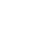 White anchor compass