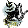 Black Rabbit