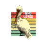 Pelican