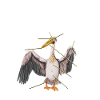 Pélican