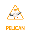 Pelican