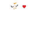 Pelican