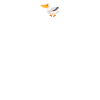 Pelican