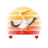 Pelican