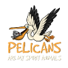 Pelican
