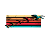 Pelican