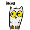 Huhu - funny owl